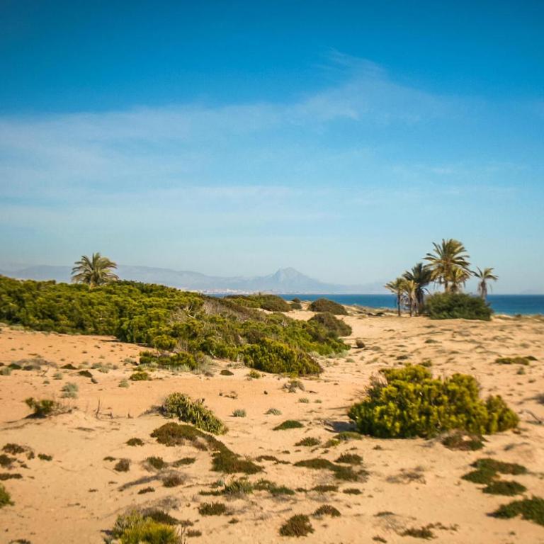 Lovely Apartment In Santa Pola With Wifi - Apartamento de 2 dormitorios - 25