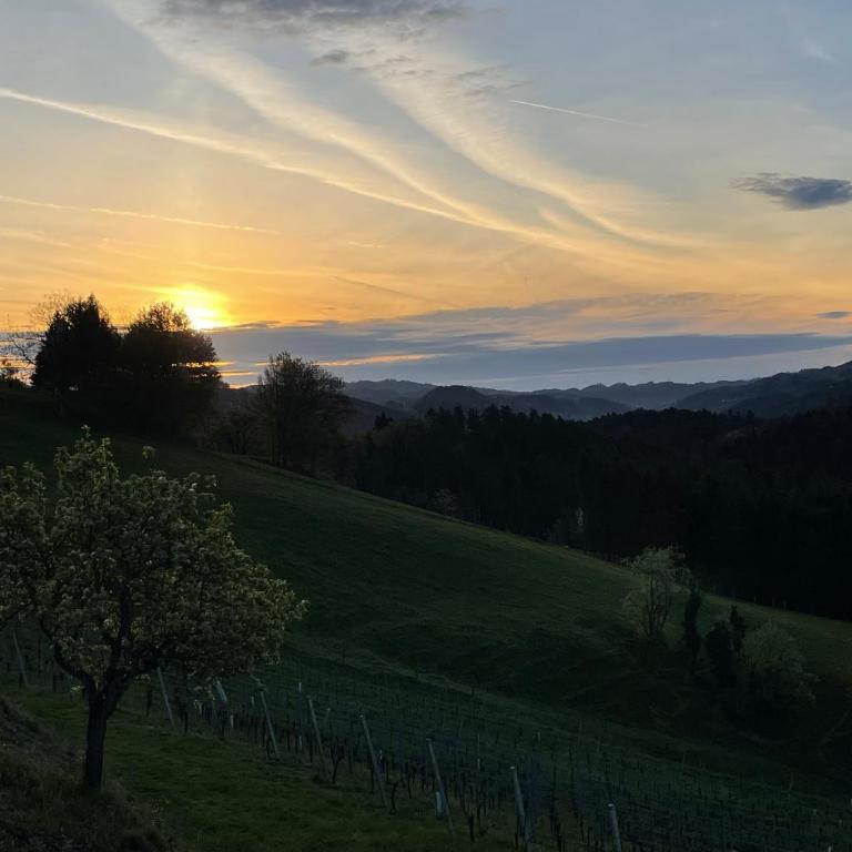 Ferienhaus am Weinberg Krast - Haus mit 2 Schlafzimmern - 46