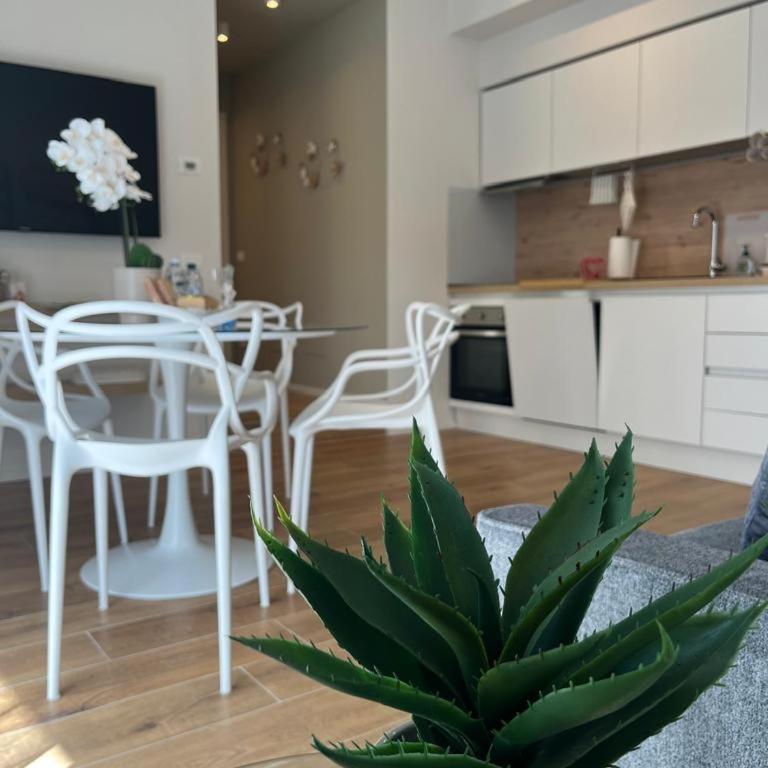 CENTRAL SUITE CINQUE TERRE - Riomaggiore e Manarola - One-Bedroom Apartment - 13