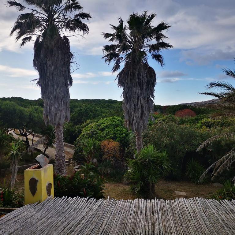 Villa Maga - Casa con 3 Camere da Letto - 10