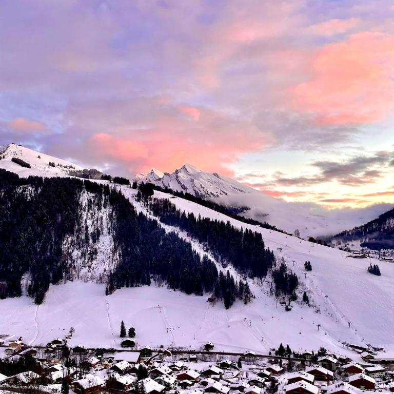 Très beau chalet familial - Vue superbe ! Plein sud - Chalet - 4