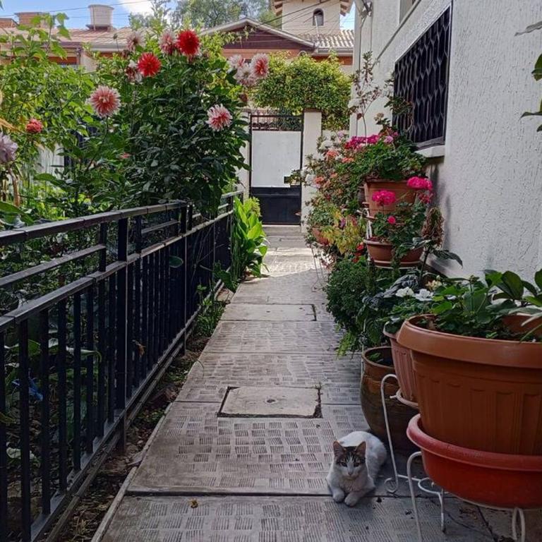 Central and quiet apartment in Cochabamba - Apartamento de 1 dormitorio - 5