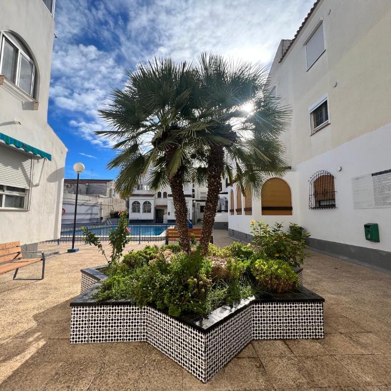La Caleta - Apartamento de 1 dormitorio - 13
