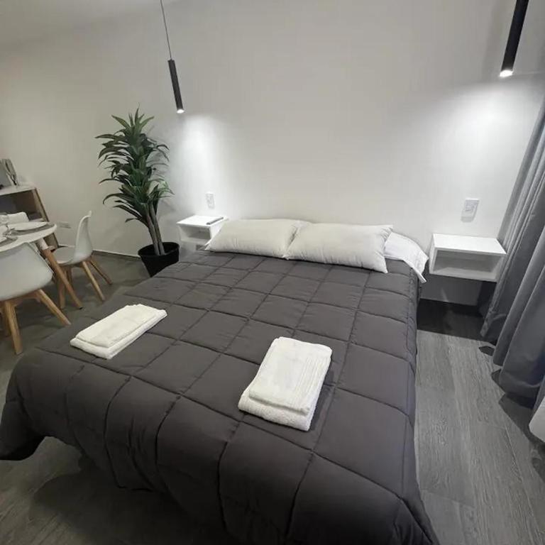 Departamento Luminoso a estrenar en Mendoza - Apartamento de 1 dormitorio - 1