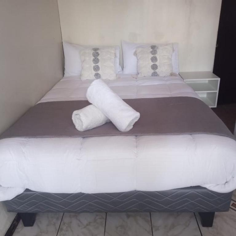 Cómoda, acogedora y tranquila casa en pleno centro, dos dormitorios, estacionamiento privado, a pasos de supermercados, farmacias, hospital, restaurantes, mall,bancos, locomoción, especialmente para moverse dentro de la ciudad o viajar a zonas cercanas - Apartamento de 2 dormitorios - 1