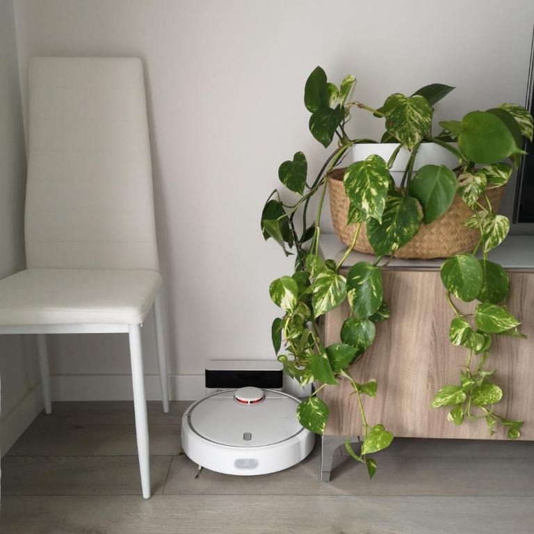 Apartamento Playa Valle Niza - Apartamento de 3 dormitorios - 43