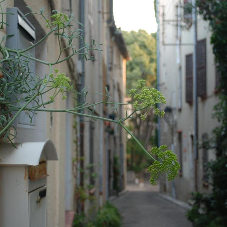 SORTIE 44 - NEWLY renovated 1 bedroom, center of old Antibes - One-Bedroom Apartment - 37