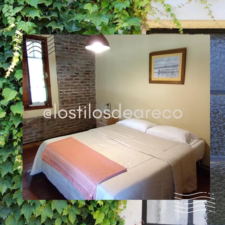 Los tilos - Loft - 19