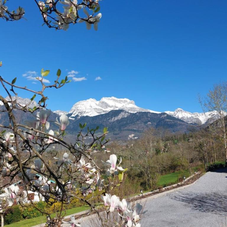 La Soldanelle vue lac et montagnes - Appartement 1 Chambre - Vue sur Lac - 25