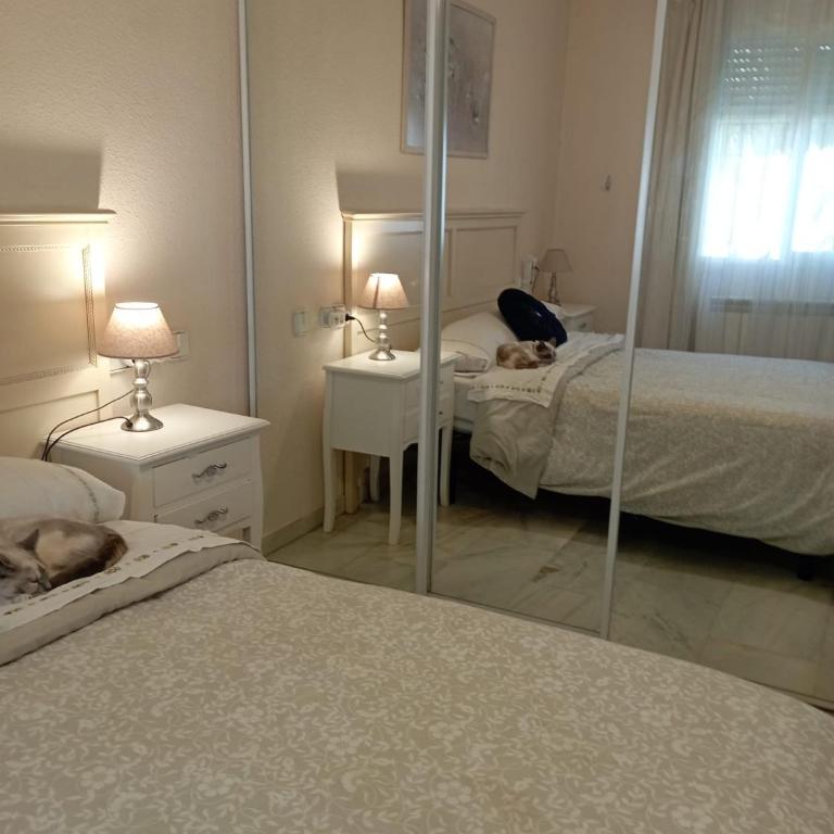 Apartamento Laguna Beach Torrox Costa - Apartamento de 1 dormitorio - 4