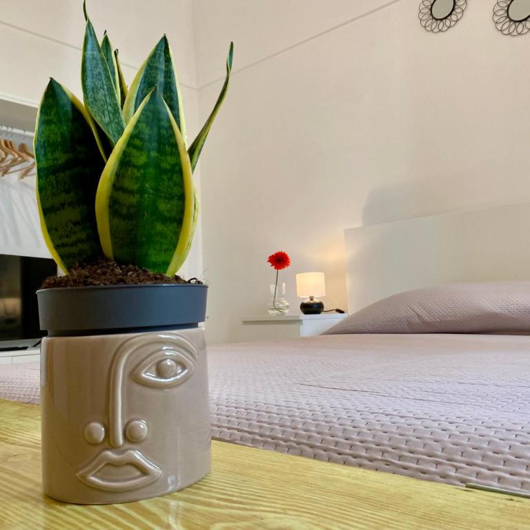 Casa Nel Murattiano - Puglia Mia Apartments - One-Bedroom Apartment - 16