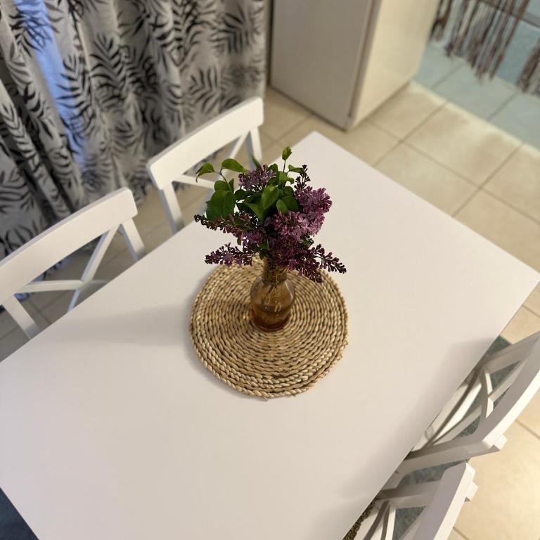 Etno village Mihailovic - One-Bedroom House - 29