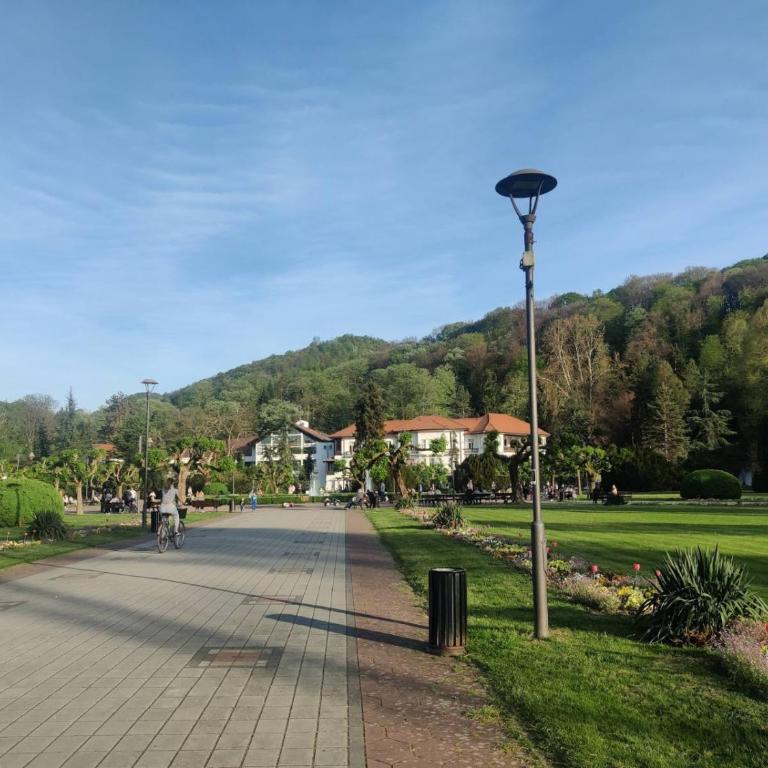 Apartman Sofija - Apartman sa 1 Spavaćom Sobom - 69