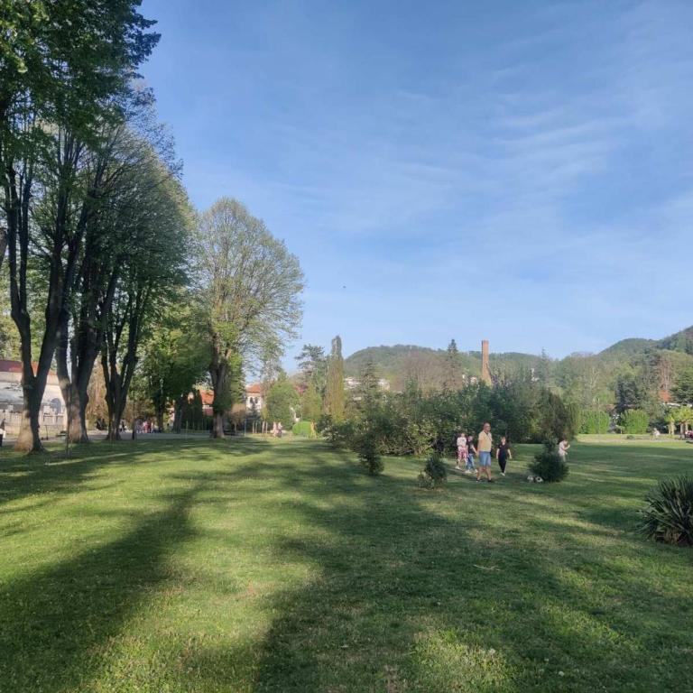 Apartman Sofija - Apartman sa 1 Spavaćom Sobom - 75