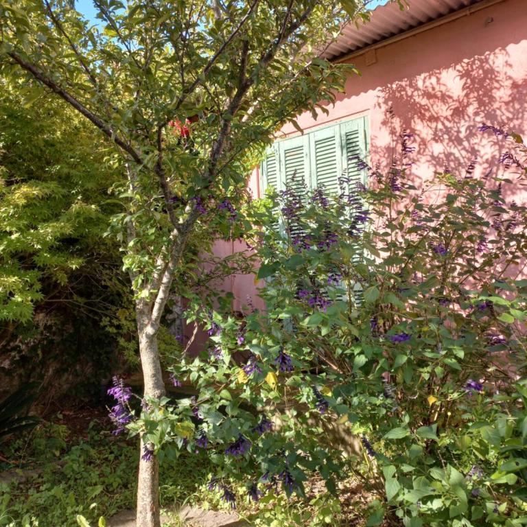 Casa Juarez - Casa de 2 dormitorios - 19