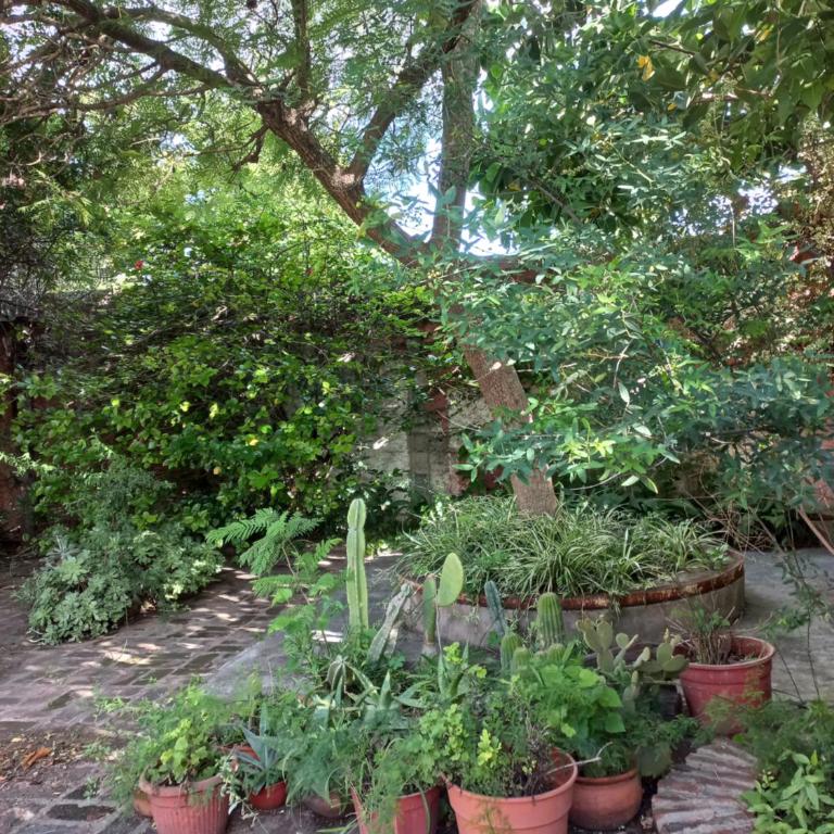 Casa Juarez - Casa de 2 dormitorios - 28