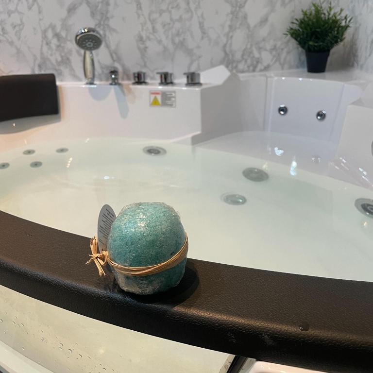 SpaNish apartman 2. - Apartman sa 1 Spavaćom Sobom - 20