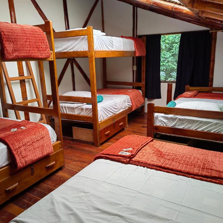 Wisdom Forest Lodge - Cama en habitación compartida mixta de 6 camas - 10