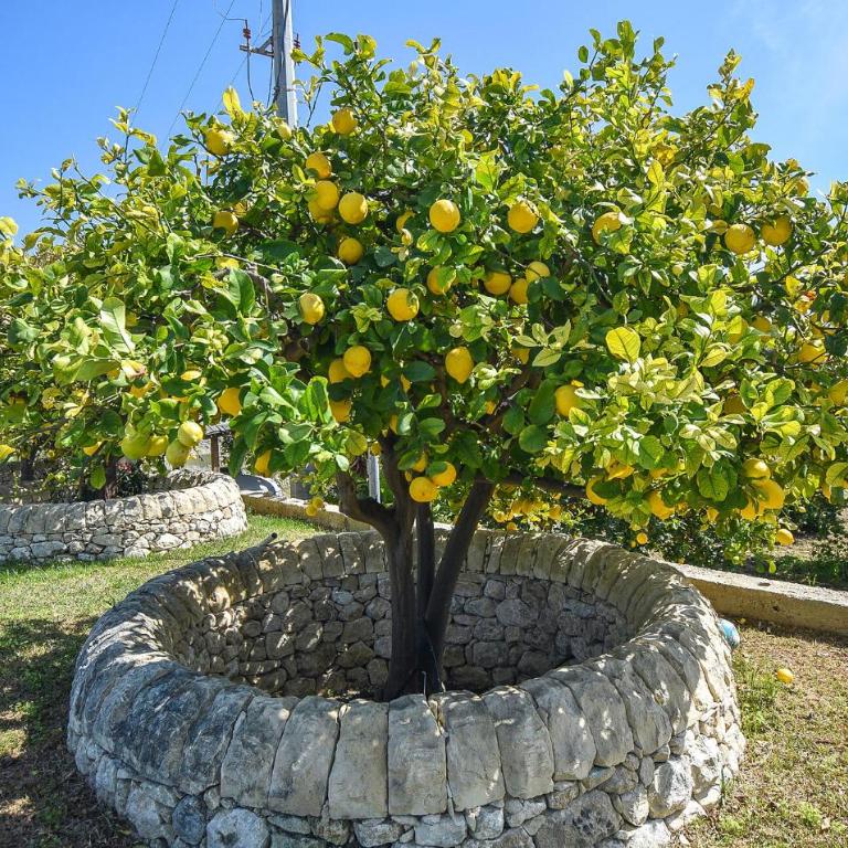 3 Bedroom Beach Front Home In Marina Di Marza - Three-Bedroom Vacation Home - 20