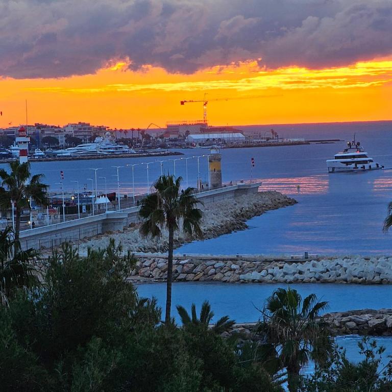 Superbe vue mer à 50 mètres des plages - Appartement 1 Chambre - 5