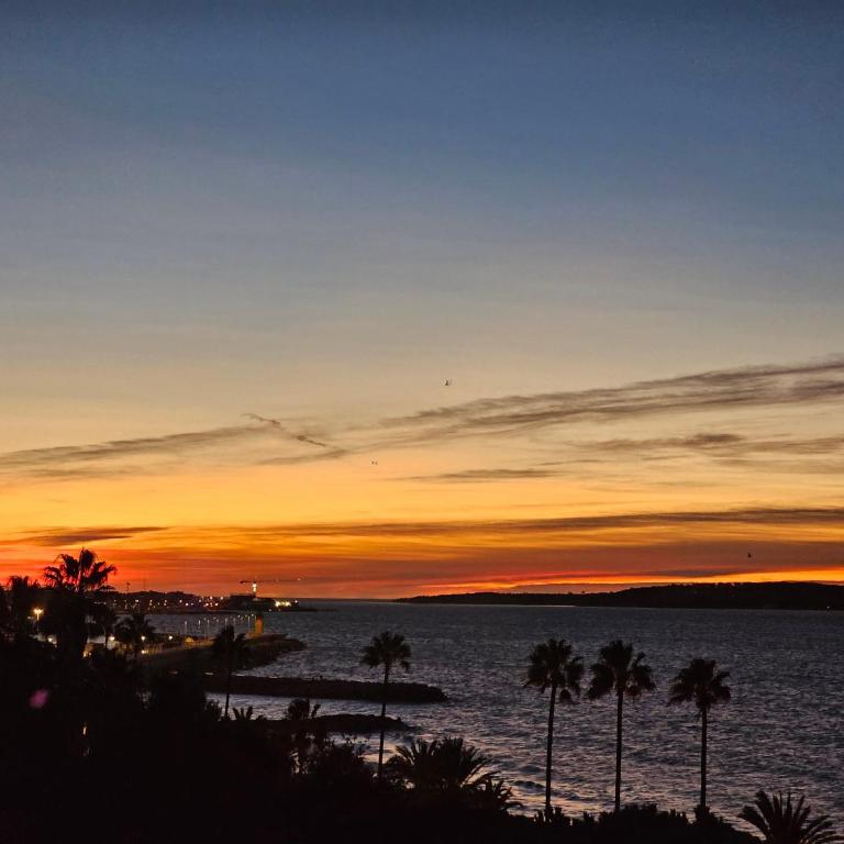 Superbe vue mer à 50 mètres des plages - Appartement 1 Chambre - 18