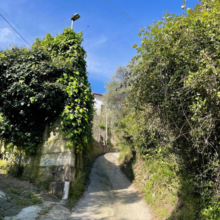 La casa dell'ulivo - Casa con 1 Camera da Letto - 14