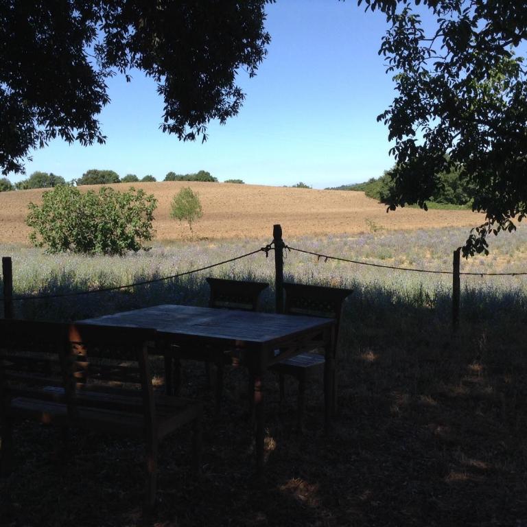 Il soffio di Eolo - Alloggio turistico - Apartment mit 1 Schlafzimmer - 11