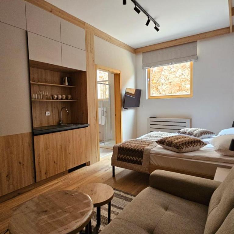 Apartments D035 & D032 in Aparthotel Vucko, Jahorina-private host - Studio with Sofa Bed - 15