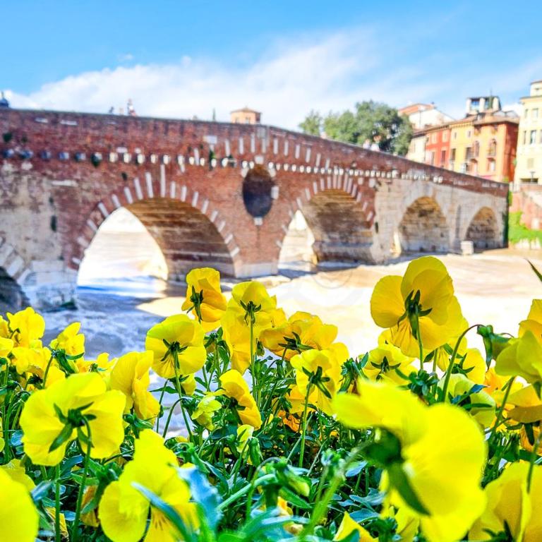Verona All Seasons - Appartamento con 1 Camera da Letto - 17