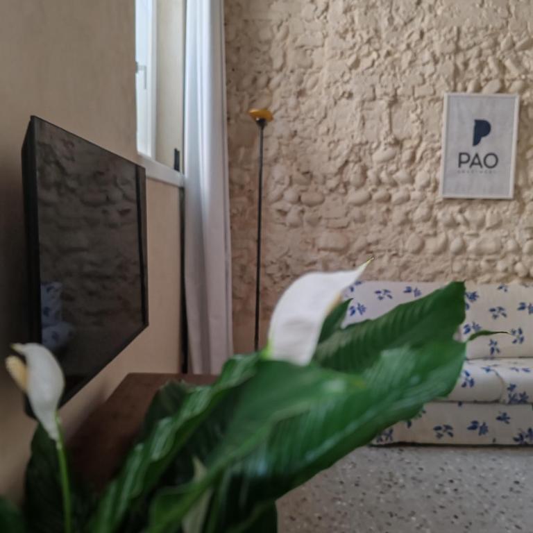 Pao - Veronetta Loft - One-Bedroom Apartment - 15