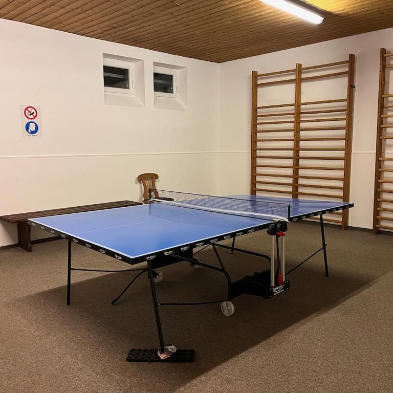 3-Room Apartment with sauna and pool & walk to slopes - JokerCard included - Apartment mit 2 Schlafzimmern - 22