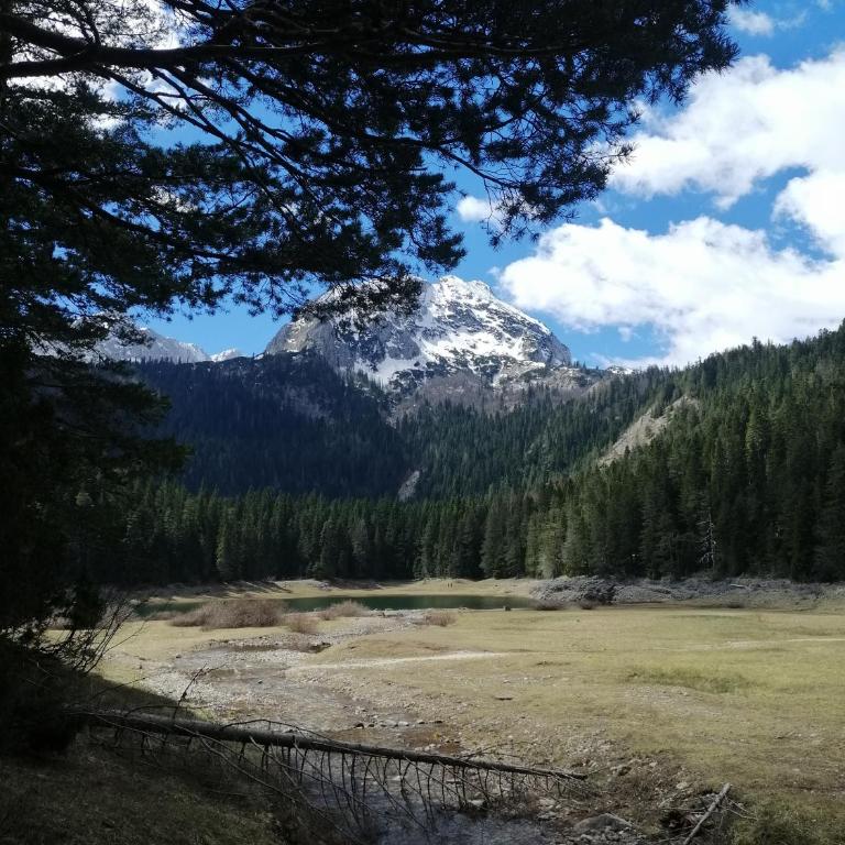 M&K chalets - One-Bedroom Chalet - 33