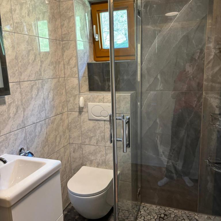 Haus St Peter , midden in meren gebied van Karinthië - Ferienhaus mit 4 Zimmern - 42