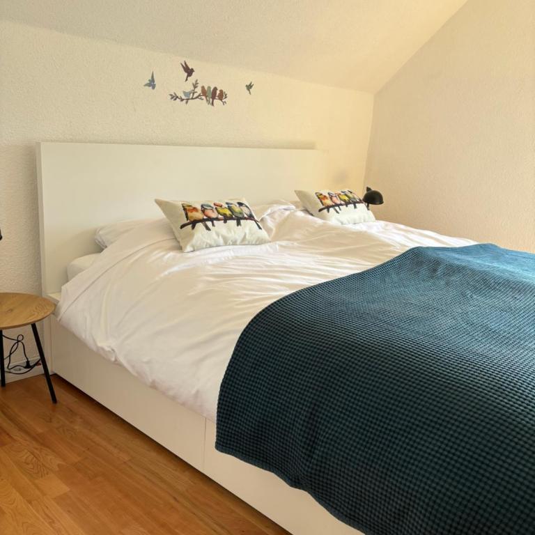 Haus St Peter , midden in meren gebied van Karinthië - Ferienhaus mit 4 Zimmern - 41