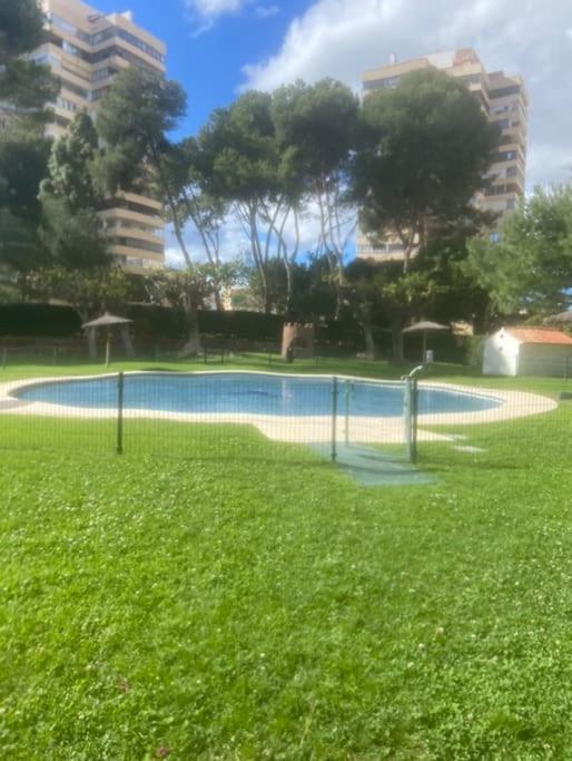 Playamar Feliz - Apartamento de 3 dormitorios - 10