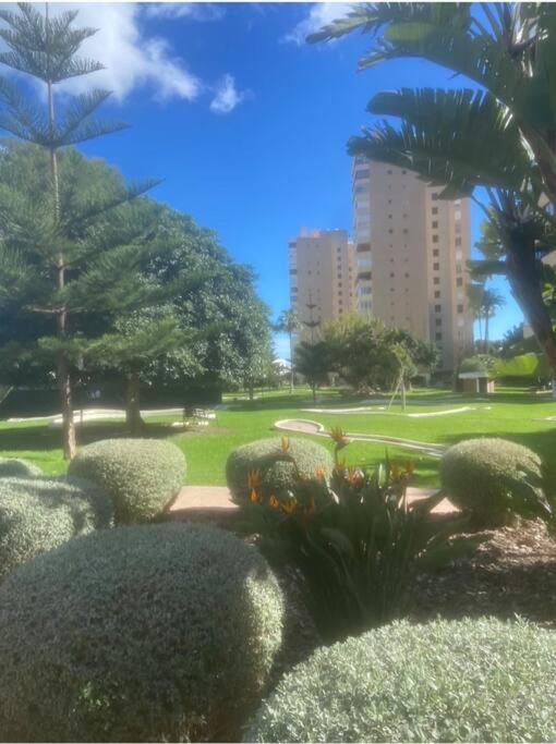 Playamar Feliz - Apartamento de 3 dormitorios - 21