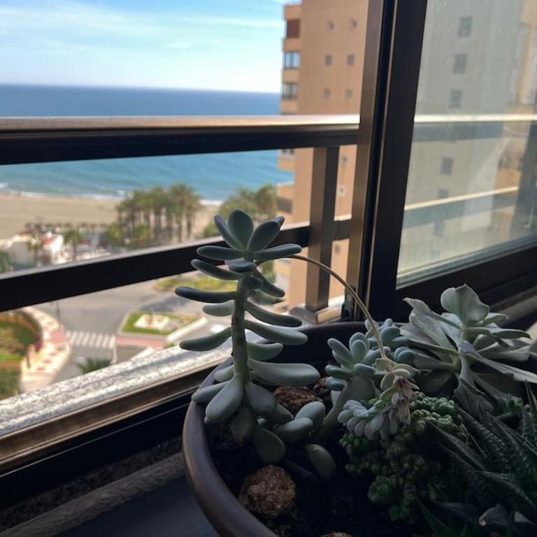 Playamar Feliz - Apartamento de 3 dormitorios - 23