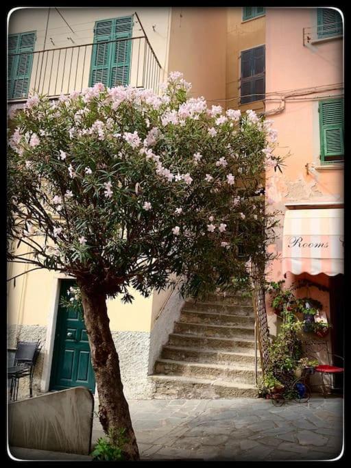 Appartamento Ca’ del Baffo @riocadelbaffo - Apartment mit 1 Schlafzimmer - 16