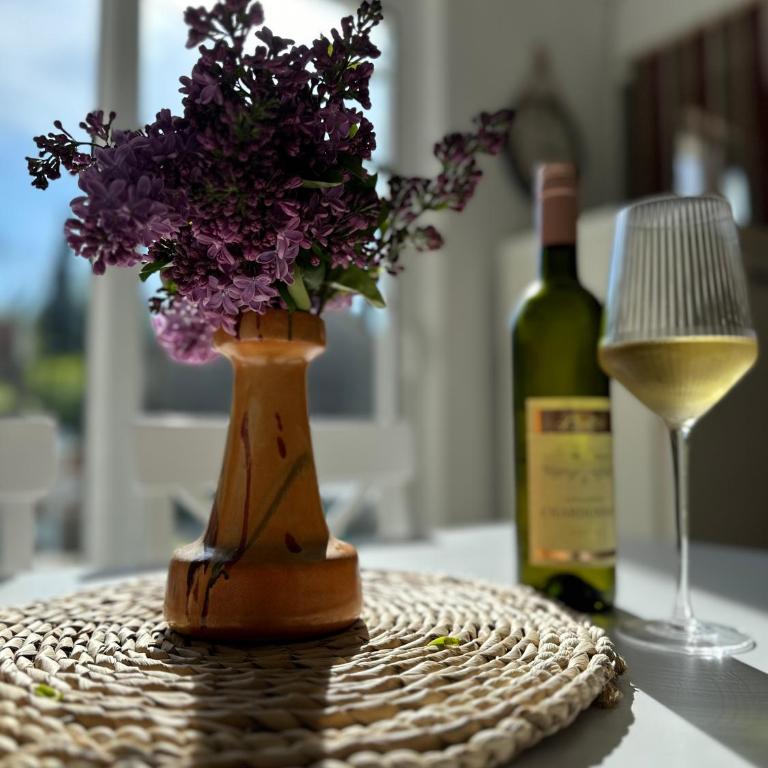 Etno village Mihailovic - One-Bedroom House - 43