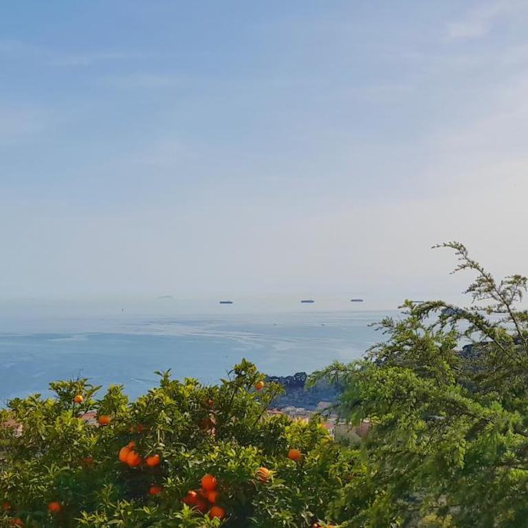 Ai Canarbin - colline di Lerici - Camera Deluxe Matrimoniale/Doppia con Letti Singoli con Bagno Privato Esterno - 3