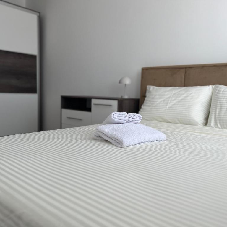 Apartman “Sana” - Apartman sa 1 Spavaćom Sobom - 8