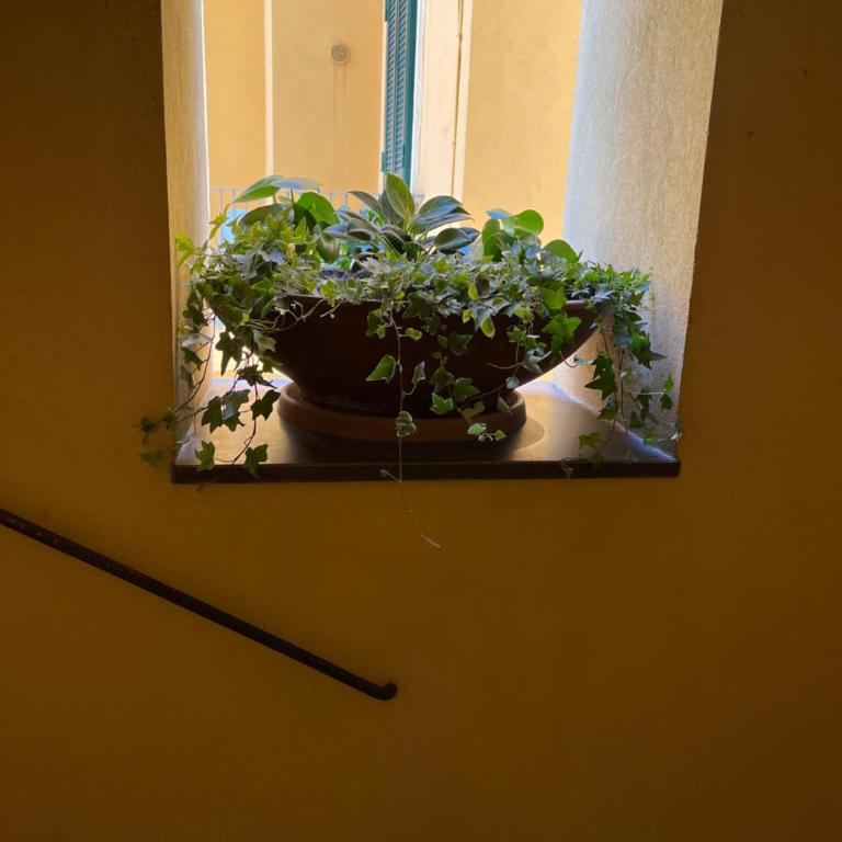 Porta Antica - OldTown Salerno - One-Bedroom Apartment - 32