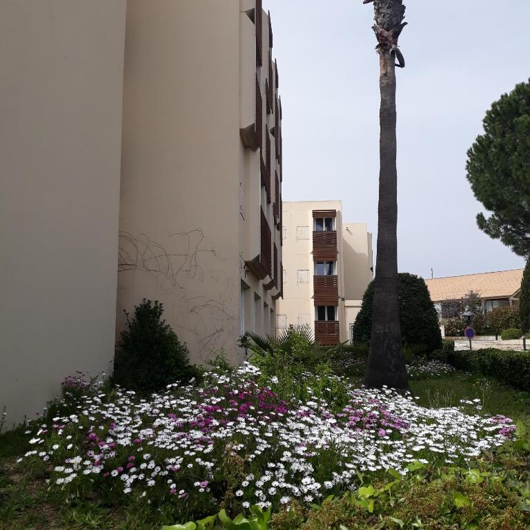 RESIDENCE L'ILE D'OR - Appartement 1 Chambre - 21