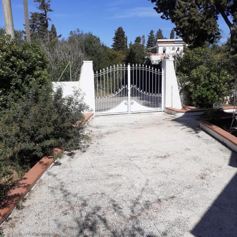 Villetta dei Fiori, vicino Spiaggia di Punta Pizzo - Villa - 41