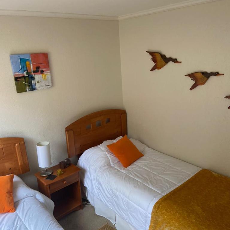 Papudo, camino a Zapallar - Apartamento de 2 dormitorios - 22