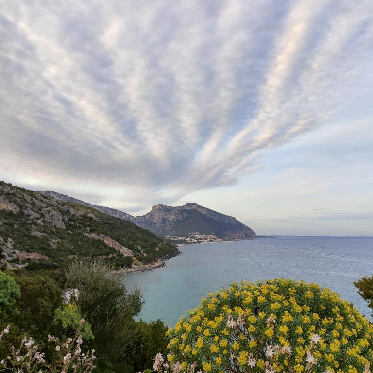 Appartamento a 50 mt dal mare - Appartamento con 2 Camere da Letto - 25