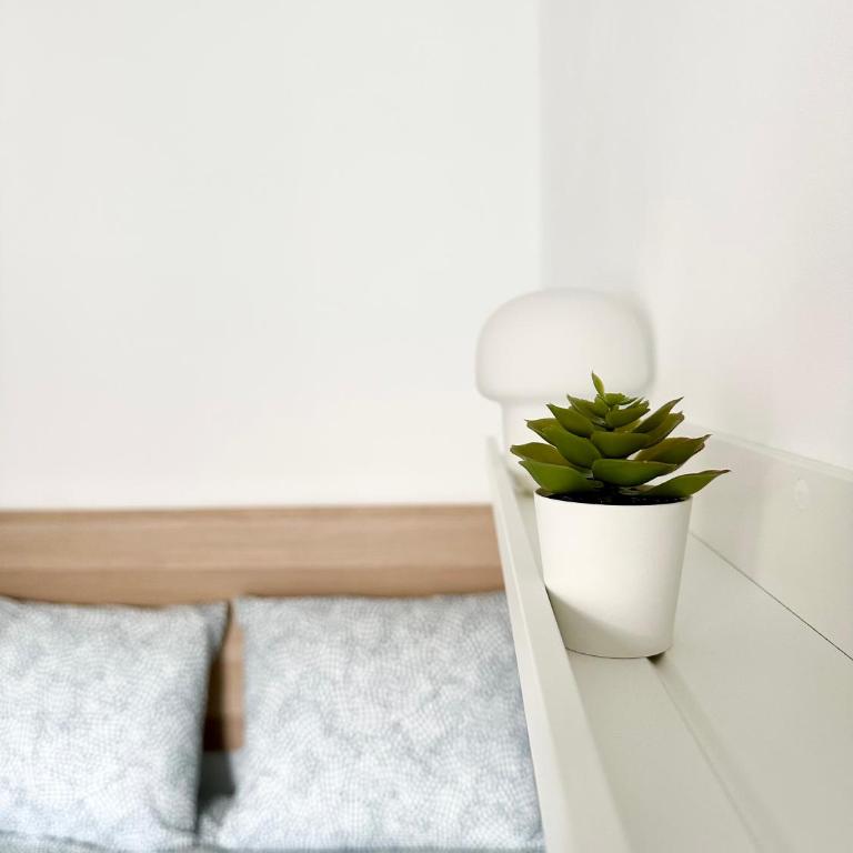 Aloha Apartment Ronda - Free parking - Apartamento de 3 dormitorios - 16