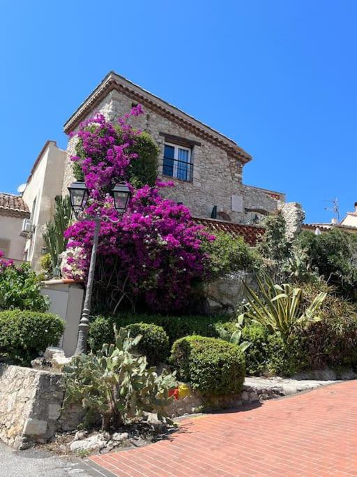 STRELIZIA - New central old Antibes for 4 AC - Appartement 2 Chambres - 9