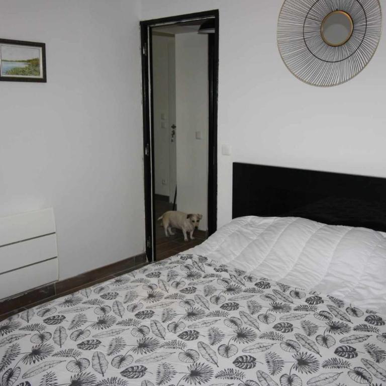 maison de la plage et du golf - Maison 2 Chambres - 5