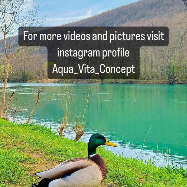 Aqua Vita Concept - Two-Bedroom Villa - 41